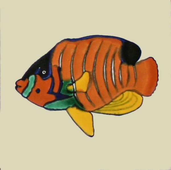 O Mb 31